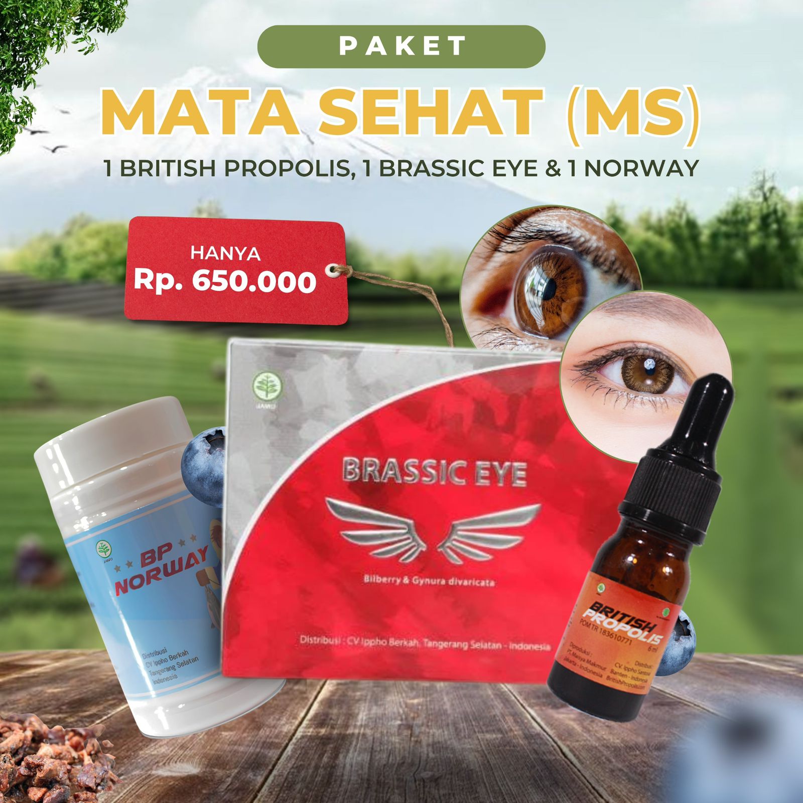 Paket Starter